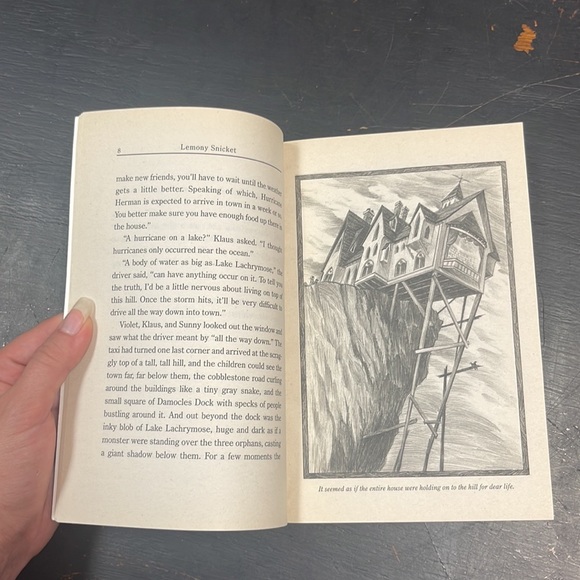 Lemony Snicket A Series of Unfortunate Events The Wide Window paperback book - Picture 9 of 12